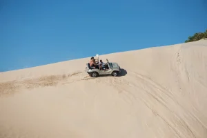 buggy