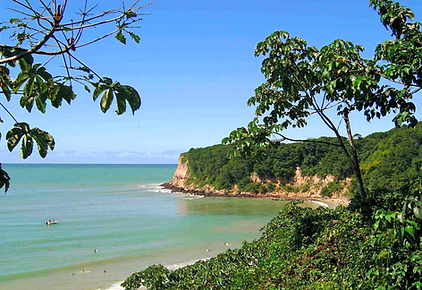 Imagem de Passeio Praias de Pipa -Tibau do Sul